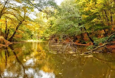 Belgrad Ormanları Trekking - Bentler Tabiat Parkı