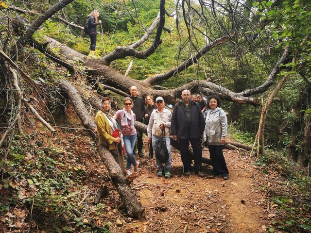 Belgrad Ormanları Trekking - Bentler Tabiat Parkı