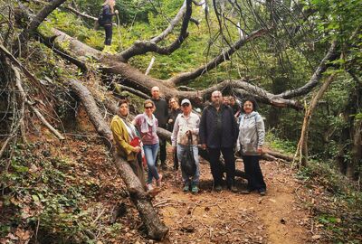 Belgrad Ormanları Trekking - Bentler Tabiat Parkı