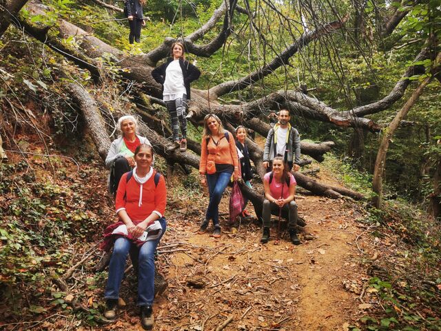 Belgrad Ormanları Trekking - Bentler Tabiat Parkı