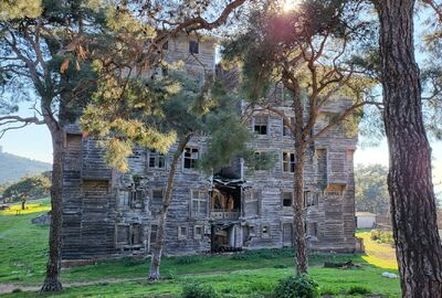 Büyükada Doğa ve Kültür Yürüyüşü